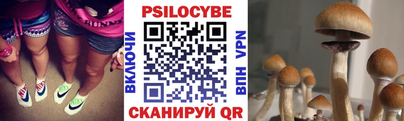 Галлюциногенные грибы GOLDEN TEACHER Сольцы